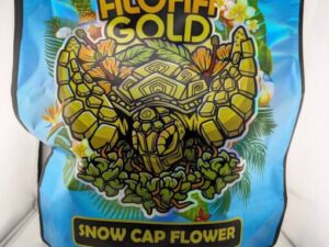 Aloha Gold Snow Cap